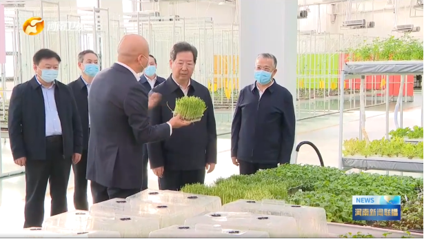 河南省委書記樓陽生蒞臨金豆子集團(tuán)調(diào)研