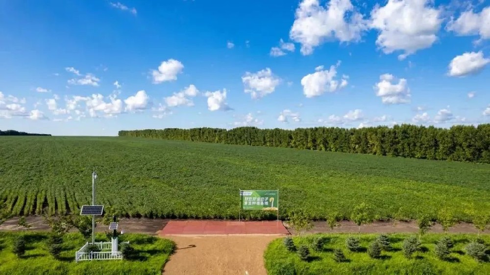 【河南日報(bào)農(nóng)村版報(bào)道】金豆子如何用14年把一顆小豆芽種成民生大事業(yè)