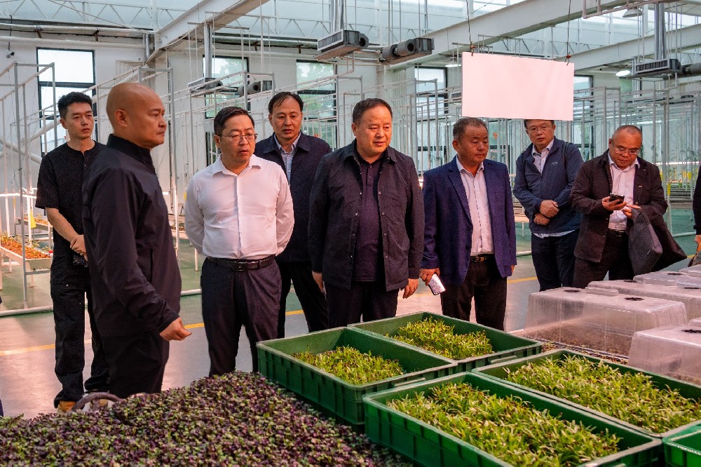 國家大豆產(chǎn)業(yè)專家團(tuán)赴金豆子集團(tuán)考察調(diào)研，共同探討大豆產(chǎn)業(yè)鏈發(fā)展